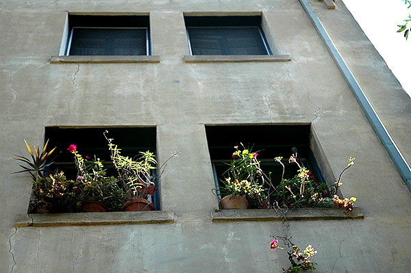 Windows, Harper Avenue, West Hollywood 