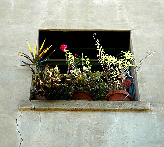 Window, Harper Avenue, West Hollywood 