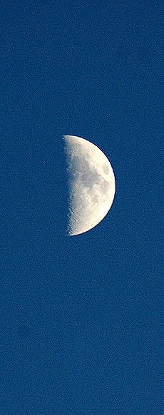 Half-moon over Hollywood 