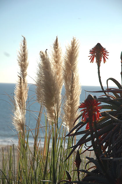 View  from Pacific Palisades Park, Santa Monica, California, late afternoon - 