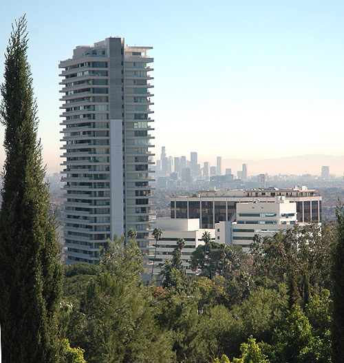 View from from a hill in Beverly Hills, Sierra Towers on the Sunset Strip, with Los Angeles in the distance - with cypress tree