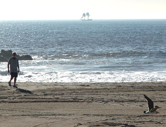 Tall ships passing Venice Beach, 8 December 2006 