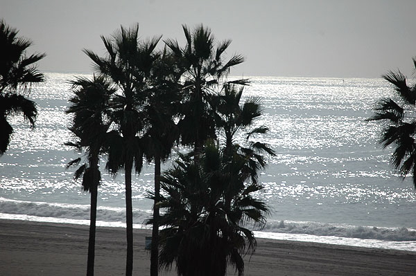 The beach at the end of the north runway at LAX.