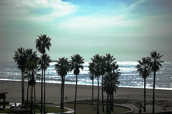 The beach at the end of the north runway at LAX.