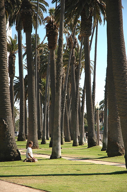 A Zen moment - Santa Monica park,  late  December