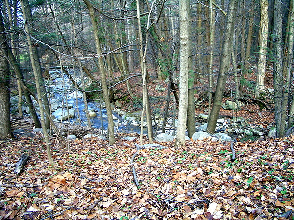 The Catskills - late December 2006