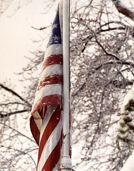 Ice Storm, Rochester, New York  -  Permanent Curl