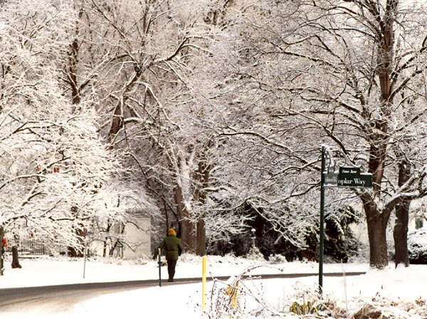 Ice Storm, Rochester, New York  -  Day Two (Tuesday) - Temperatures Drop and Snow Frosts the Iced Foundation