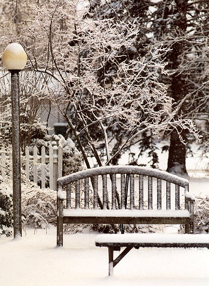 Ice Storm, Rochester, New York  -  Vertical and Horizontal Surfaces Alike