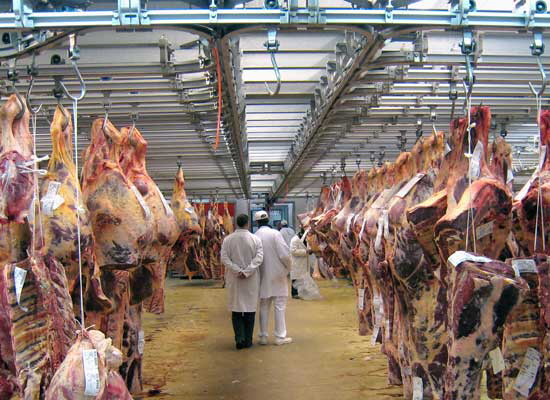 Butchers at Rungis market, south of Paris 