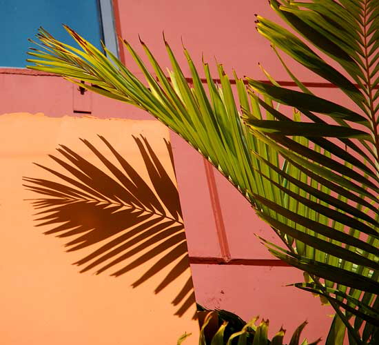 Palm shadows on bright stucco wall