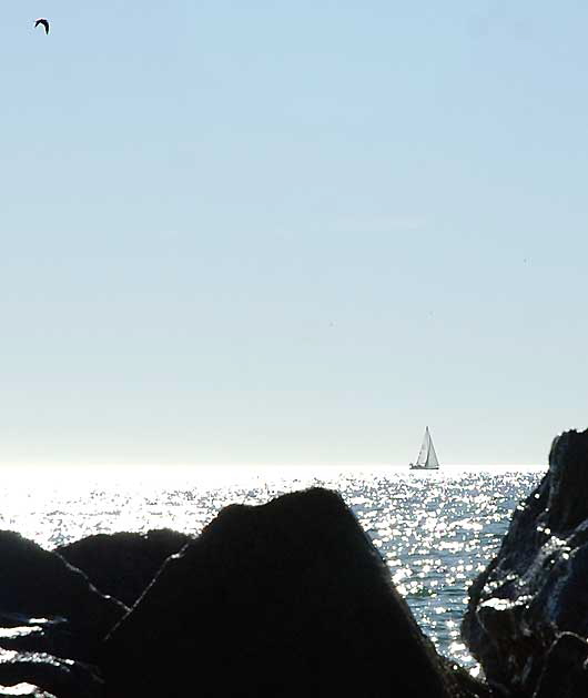 Sailboat from the Venice Beach breakwater