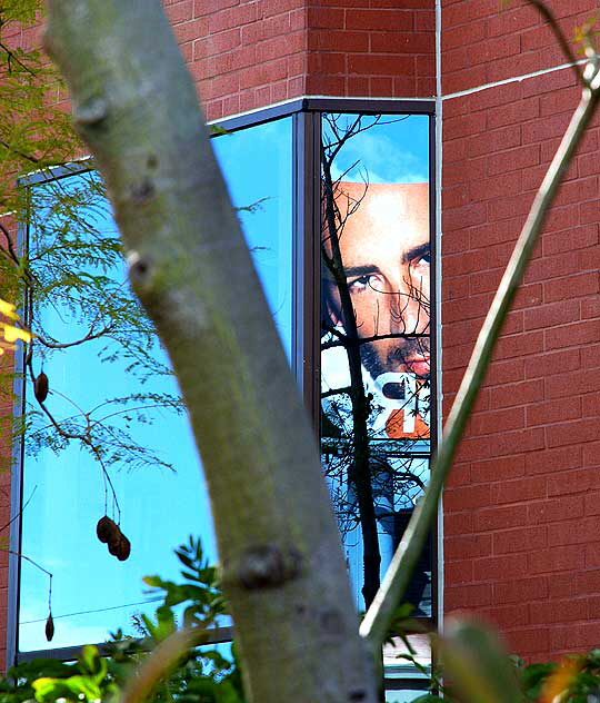 Tom Ford billboard reflected in glass, Sunset Strip, West Hollywood