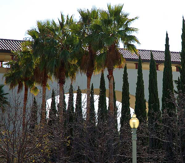 Culver City, City Hall - mixed trees