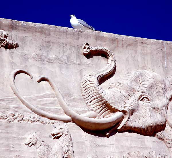Seagull with frieze at the Page Museum, at the La Brea Tar Pits, Wilshire Boulevard, Los Angeles