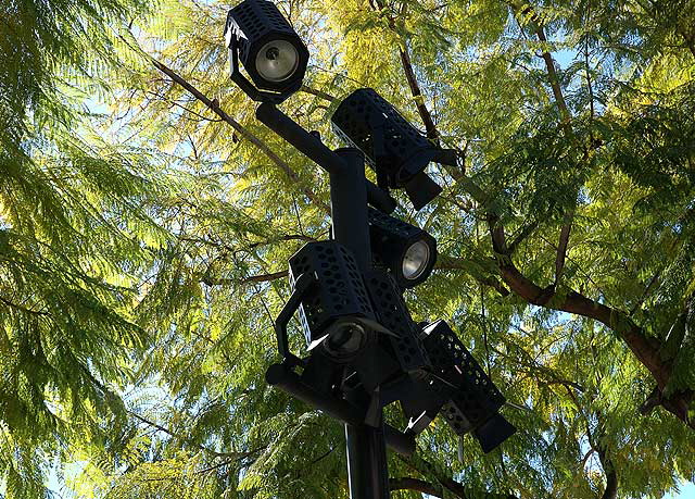 Thematic streetlamps surrounded by jacaranda trees in first green, Hollywood Boulevard 