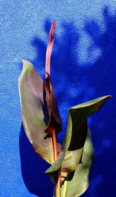 Color Study: Office Building at Sepulveda and Tennessee, West Los Angeles