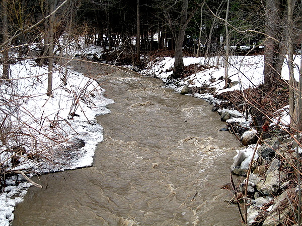 Creek on Seneca Point, thaw runoff, March 2007   