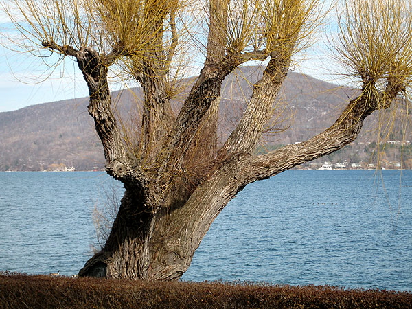 Willow, Bear Mountain, and Lake Canandaigua - March 2007