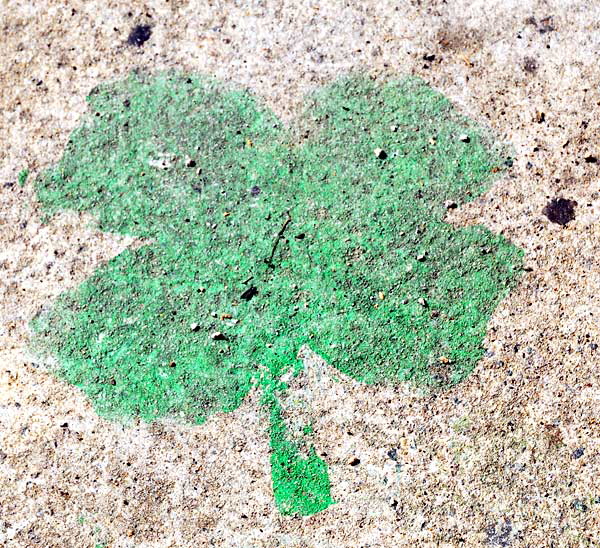 Shamrock painted on sidewalk, Playa del Rey