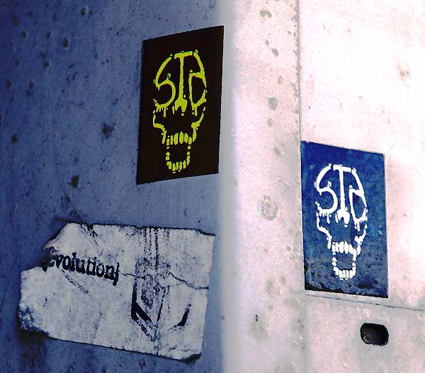 Stickers - Ninth Street, Hermosa Beach - skulls