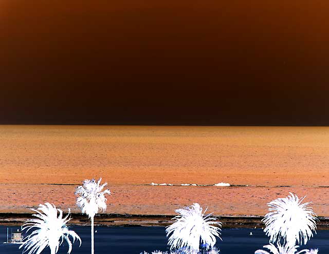 Santa Monica Beach - Negative Print