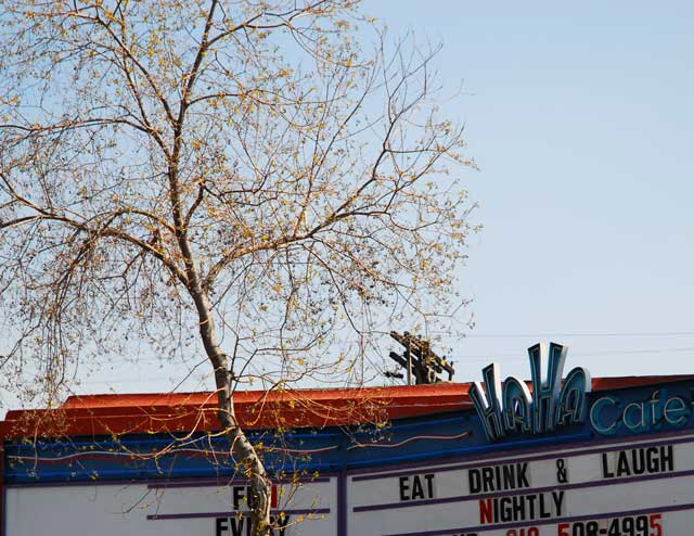 The Ha Ha Caf  5010 Lankershim Boulevard, North Hollywood 