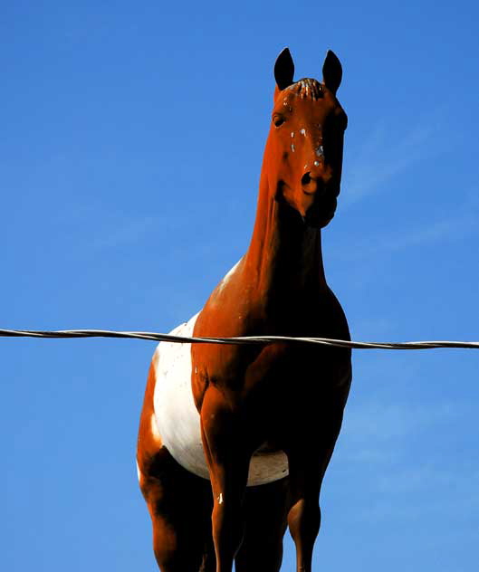 A horse on the top of a run-down cheap motel  North Hollywood