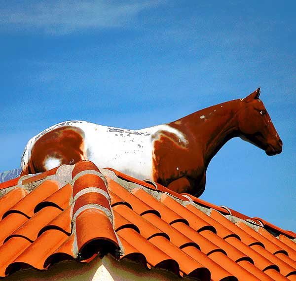 A horse on the top of a run-down cheap motel  North Hollywood