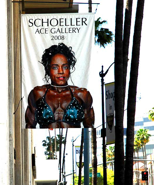 Promo banner for Schoeller Ace Gallery, Wilshire Boulevard, Beverly Hills