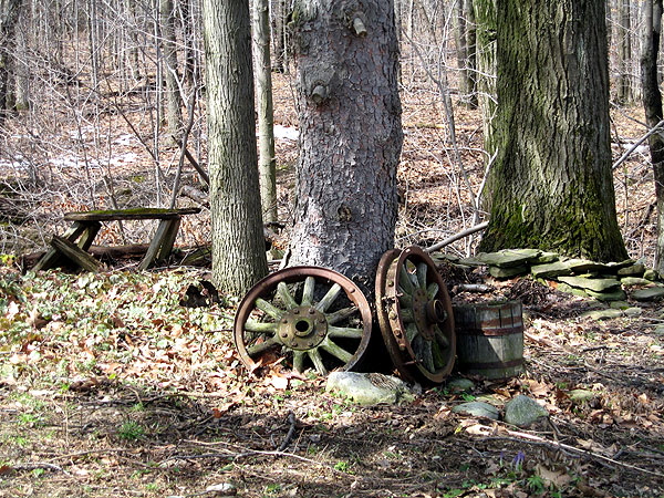 Old wooden wheels under the trees -