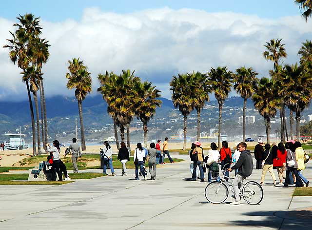 A line of foreign tourists in Venice Beach