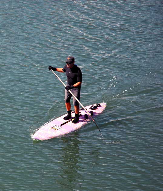 Man paddling surfboard, Naples Island, Alamitos Bay, Long Beach