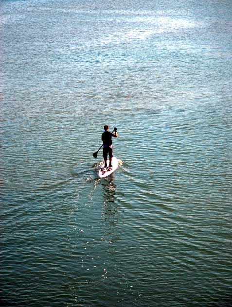 Man paddling surfboard, Naples Island, Alamitos Bay, Long Beach