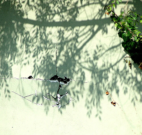 Shadow Composition 1 