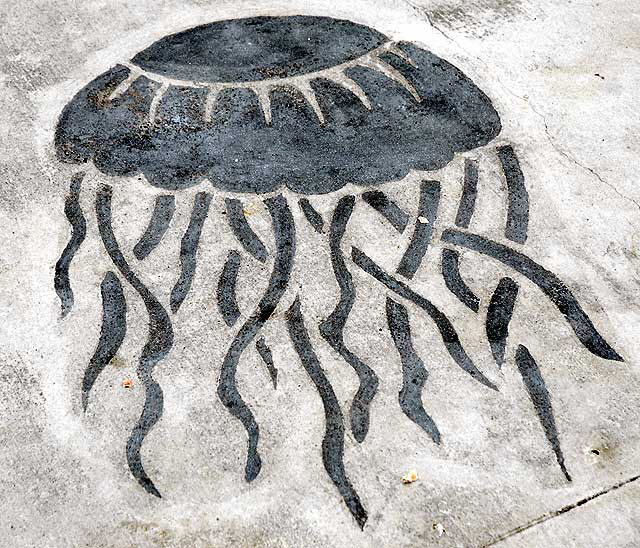 The concrete sidewalk on the Redondo Beach Pier - Jellyfish