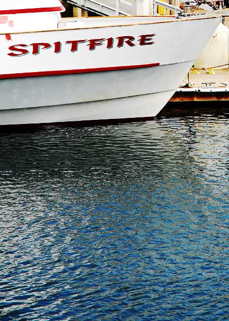 The boat slips at the Redondo Beach Pier - Spitfire