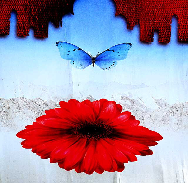 Blue butterfly with red flower, movie poster, North La Brea Avenue