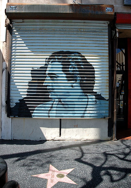 John Barrymore graphic on roll-up door, Hollywood Boulevard