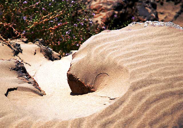 Sculpted Sand