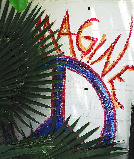 Peace sign and the word "Imagine" behind a fan palm at the corner of Yucca and North Hudson in the middle of Hollywood