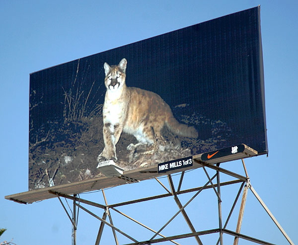 Puma billboard, La Brea, Los Angeles