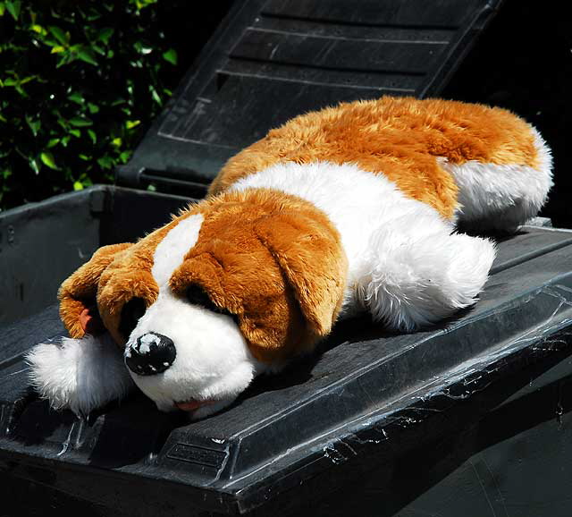 Stuffed Saint Bernard toy on dumpster lid