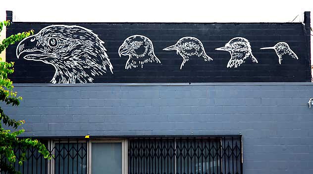 Bird Mural, 5600 block of Hollywood Boulevard