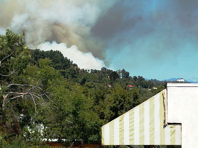 Dangerous Wildfire Forces Evacuations in LA's Griffith Park