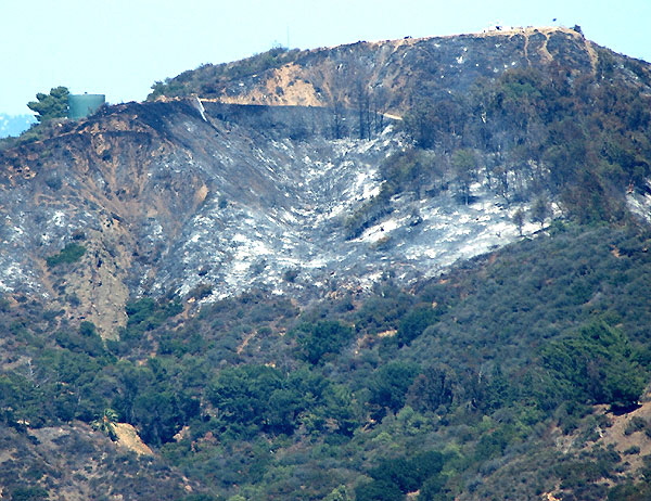 Griffith Park fire, the day after, 9 May 2007 