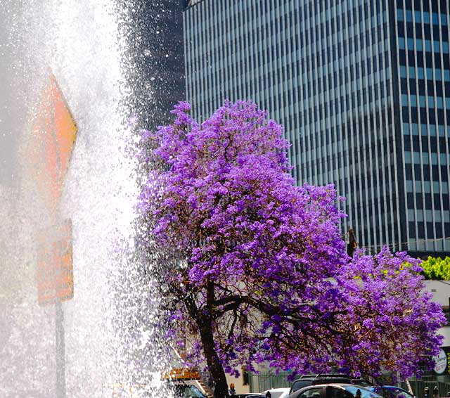 Broken fire hydrant, Tuesday, May 13, 2008, in the Wilshire District at noon - the northwest corner of Third and Vermont