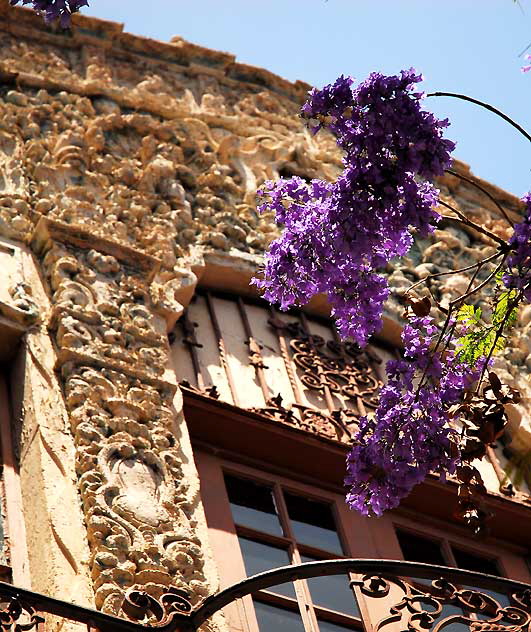 The rococo Spanish Revival UTC building, with jacaranda, Hollywood Boulevard