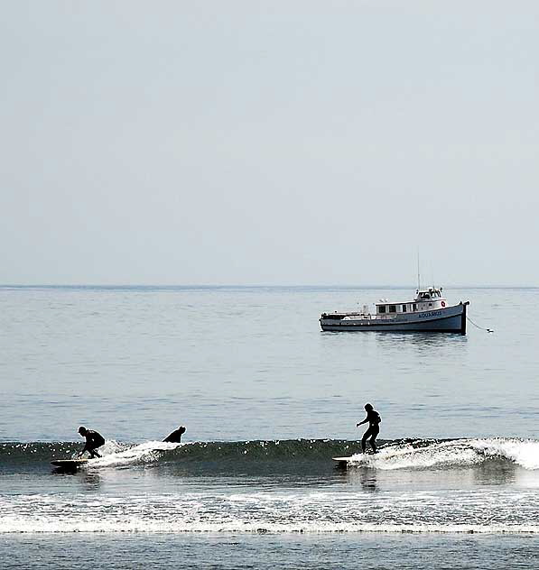 Malibu Surfers
