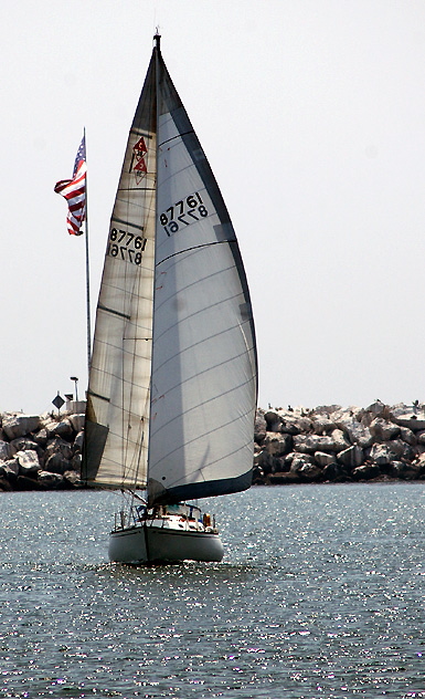 Sailboat returning to port, Marina Del Rey, California 